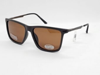 Sunglasses| EMPORIO | EA4090