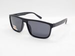 Sunglasses| EMPORIO | F40