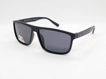 Sunglasses| EMPORIO | F40