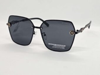 Sunglasses| HERMES | 2510
