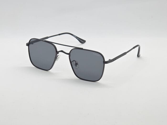 Sunglasses| CARTIER | H5602